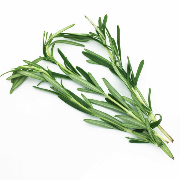 Genting Garden Rosemary (Malaysia) 50g (highest price)