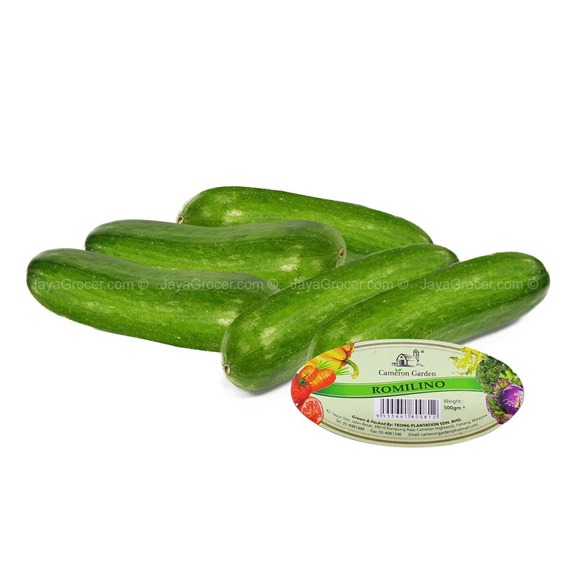 Cameron Garden Romilino Cucumber (Malaysia) 500g