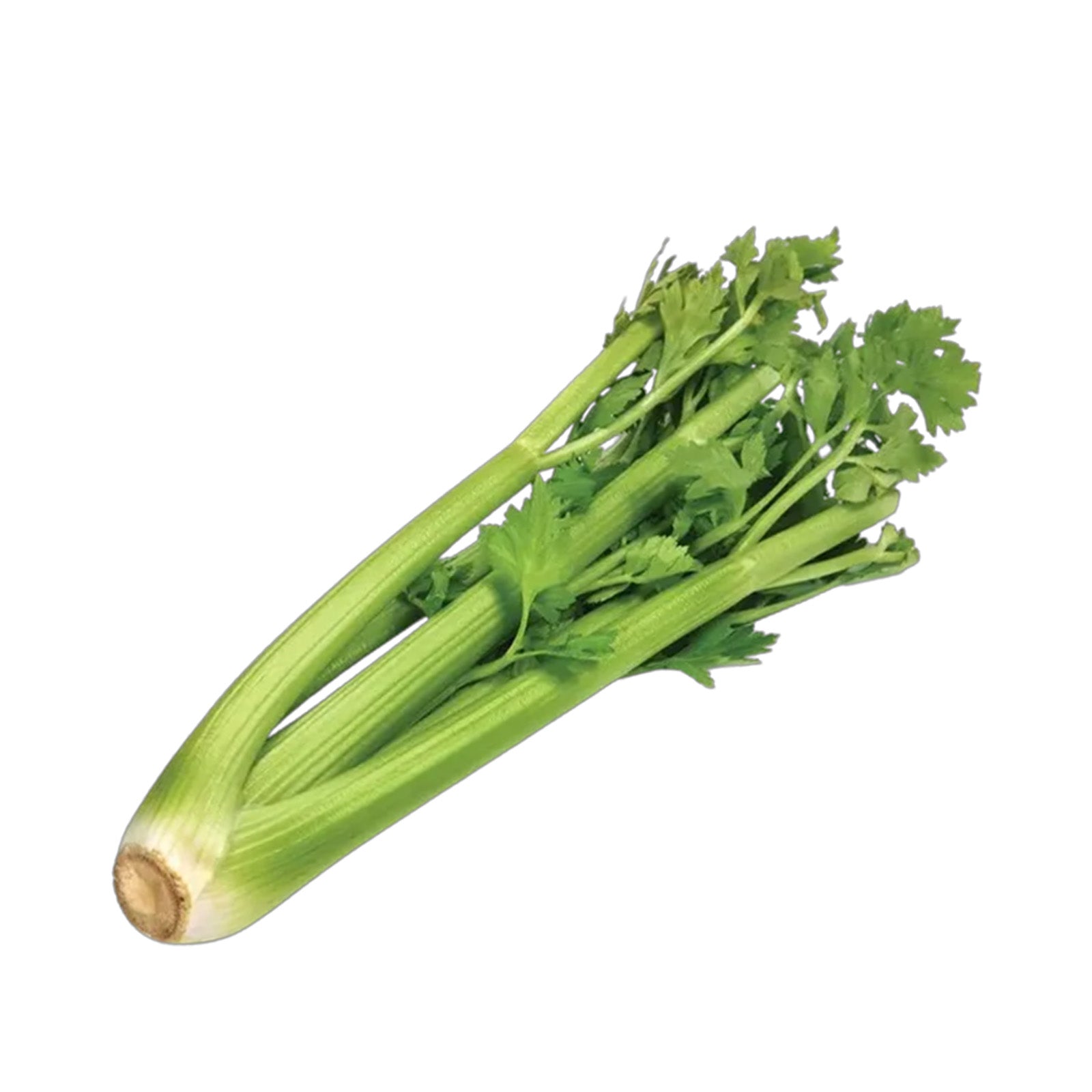 Ty Celery Bundle (China) 800g