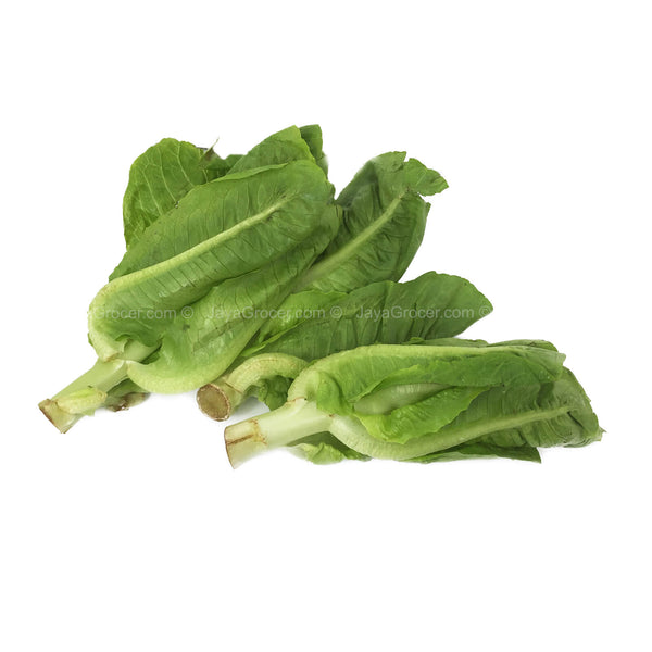 Summer Harvest Bambi Lettuce (Malaysia) 200g (highest price)