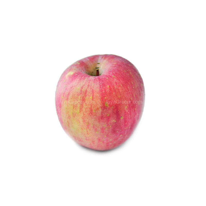 Fuji Apple (China) 1unit