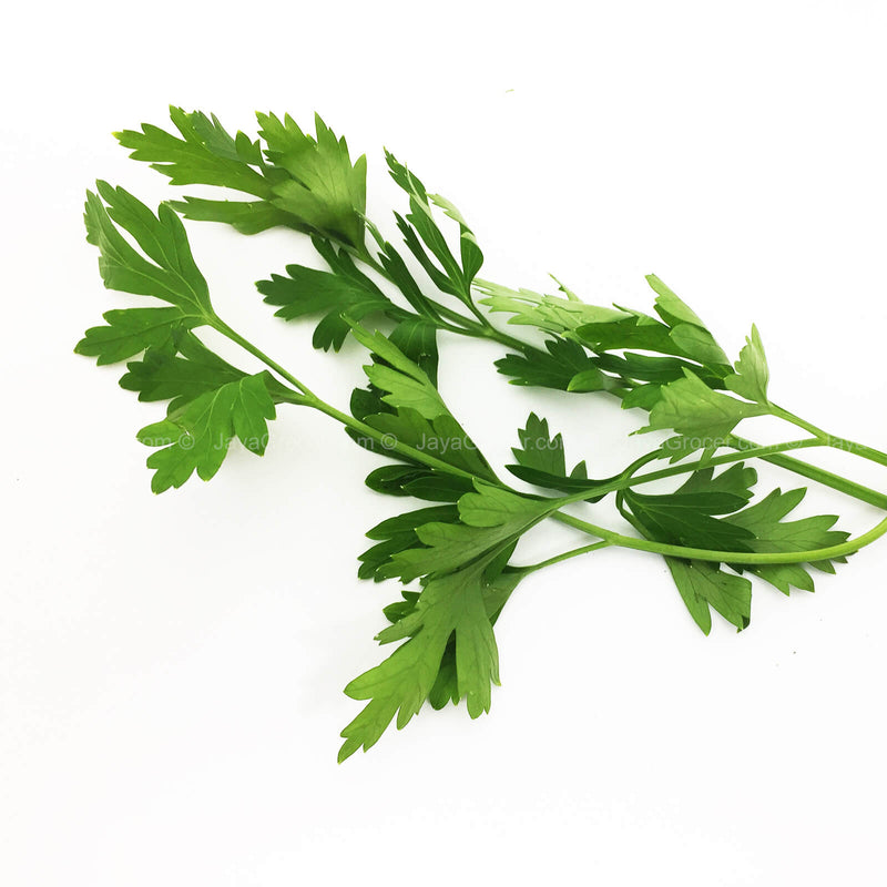 Genting Garden Italian Parsley Leaves (Malaysia) 10g