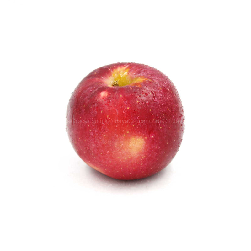 Apple Rose (New Zealand) 1unit