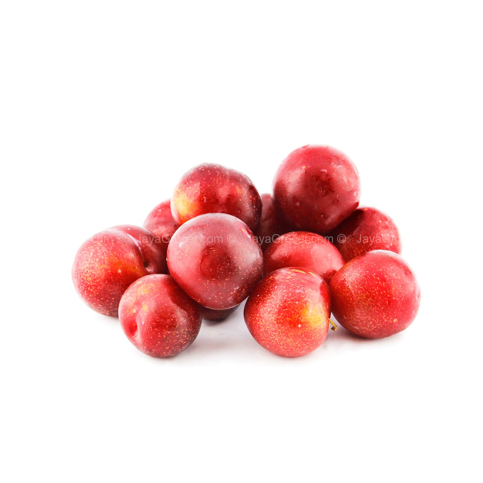 Cherry Plum (USA) 454g