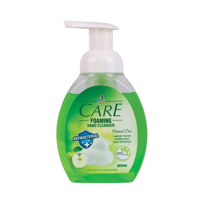 Goodmaid Care Orchard Dew Foaming Hand Cleanser 250ml