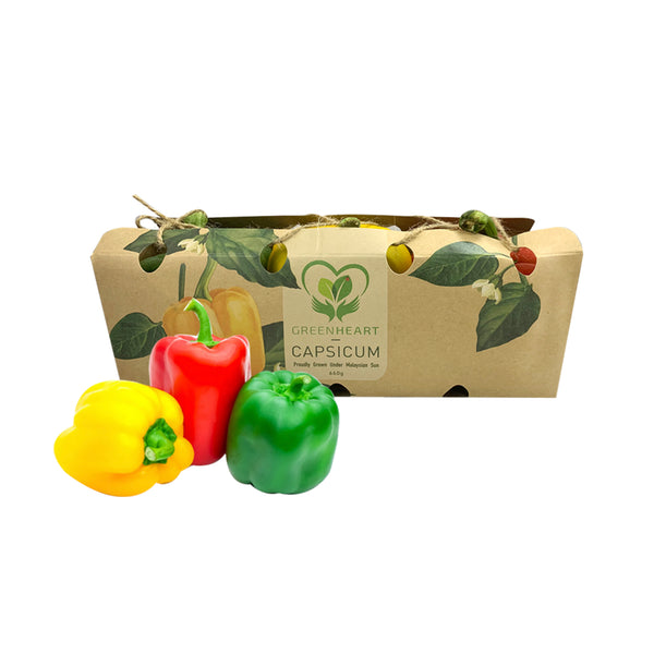 Greenheart Traffic Light Capsicum (Malaysia) 1pack (highest price)