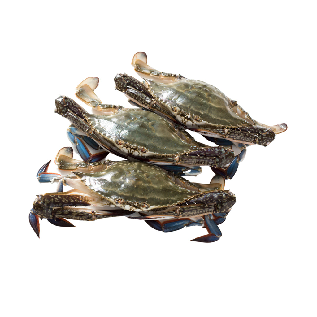 Frozen Flower Crab (Ketam Bunga) 500g