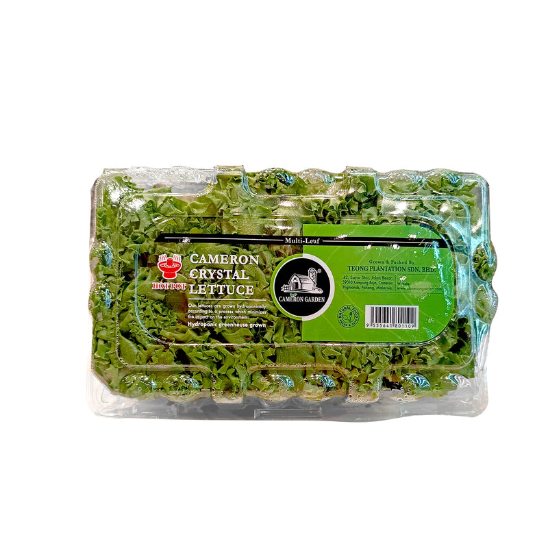 Cameron Garden Hotpot Crystal Lettuce (Malaysia) 250g