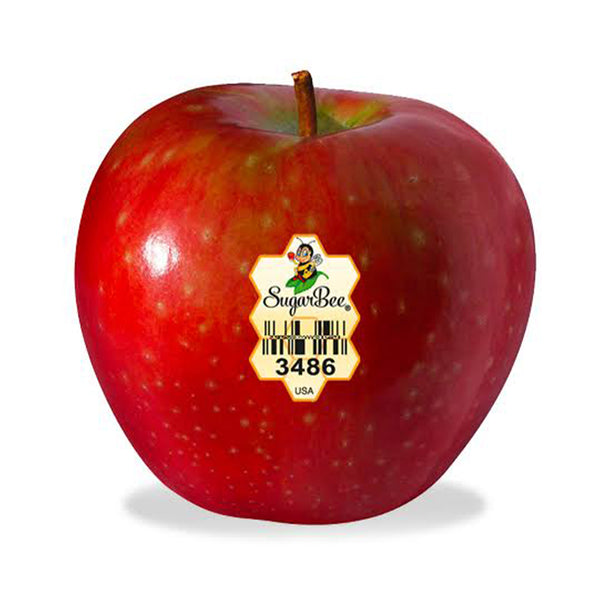 SugarBee Apple (USA) 6pcs/pack (highest price)