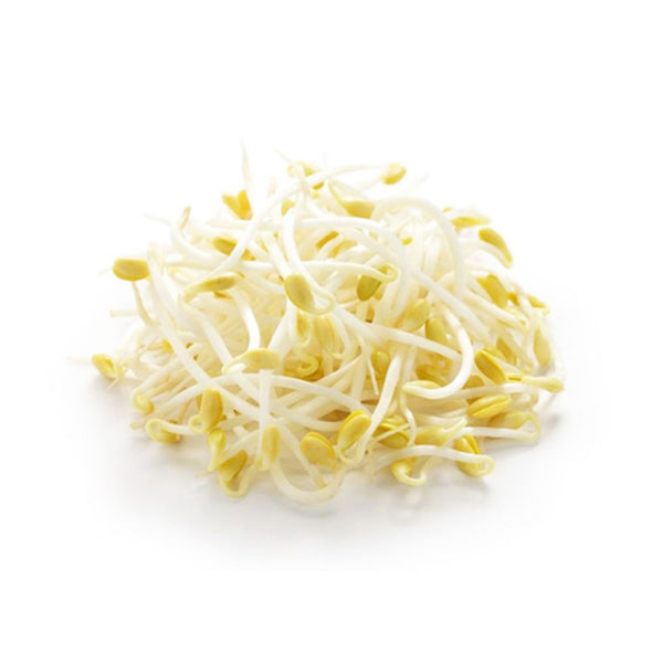 Favric Trading Bean Sprout (Taugeh) (Malaysia) 500g (highest price)