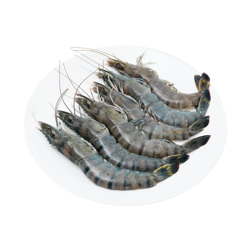 Tiger Prawn/Udang Harimau Xl 300g+/-