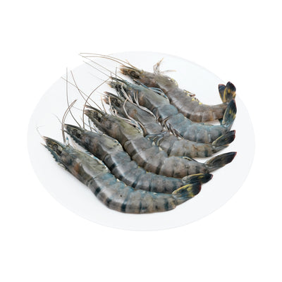 Tiger Prawn/ Udang Harimau XL 300g