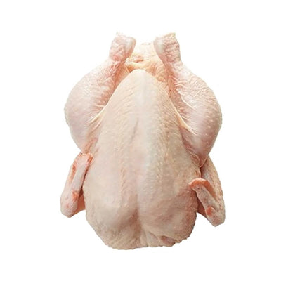 Aqina Spring Chicken 1unit