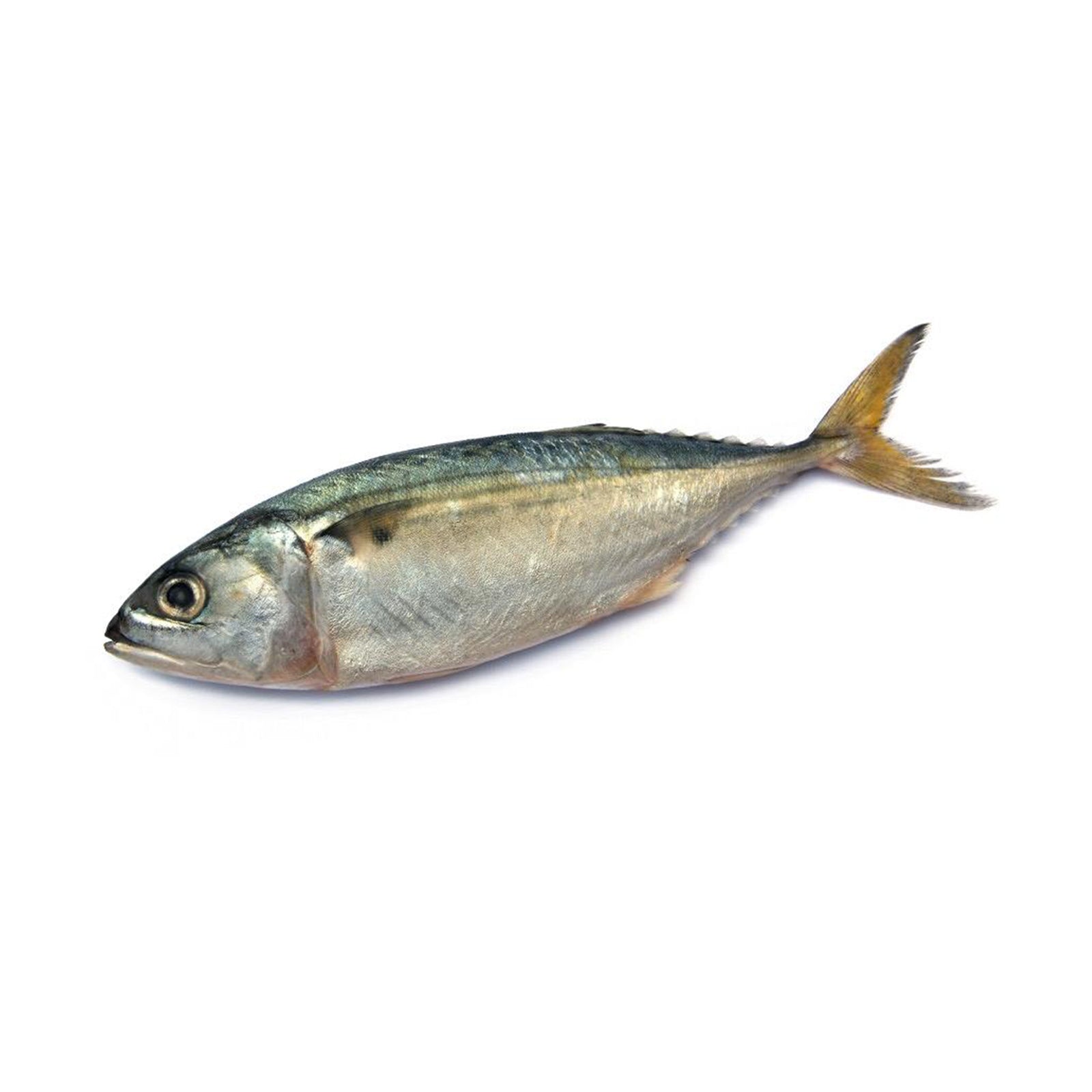 Ikan Kembong 300g/pack