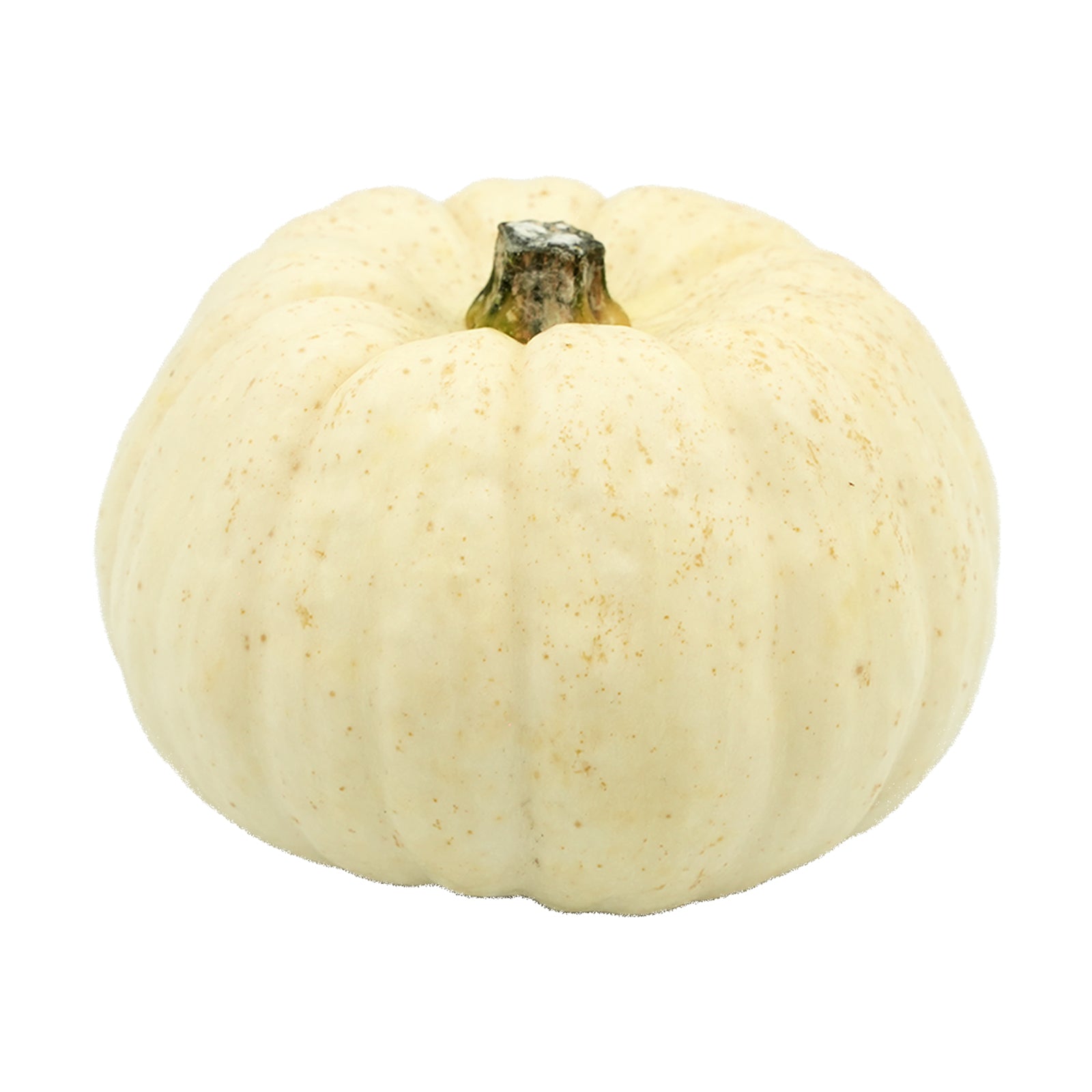 Cream White Bei Bei Pumpkin (China) 250g