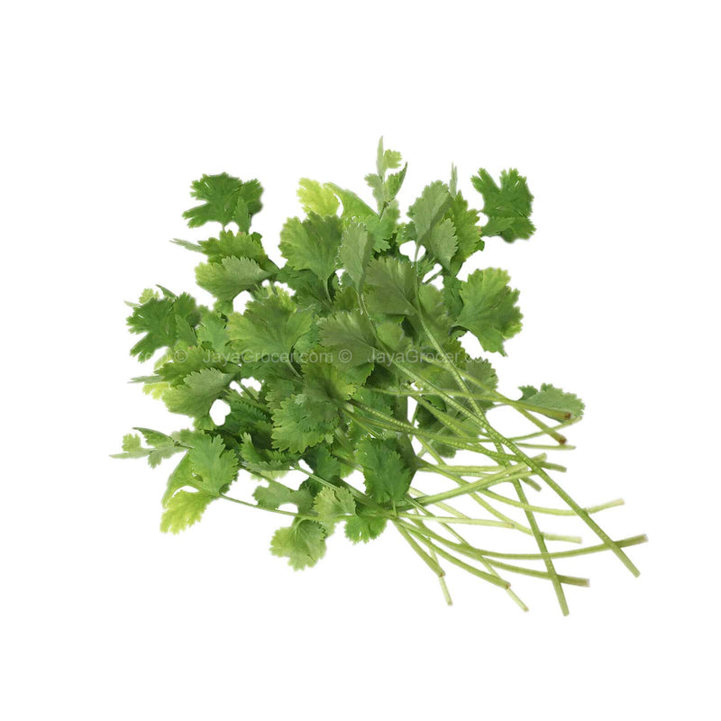 FF CORIANDER (CILANTRO) 50G (MYS)