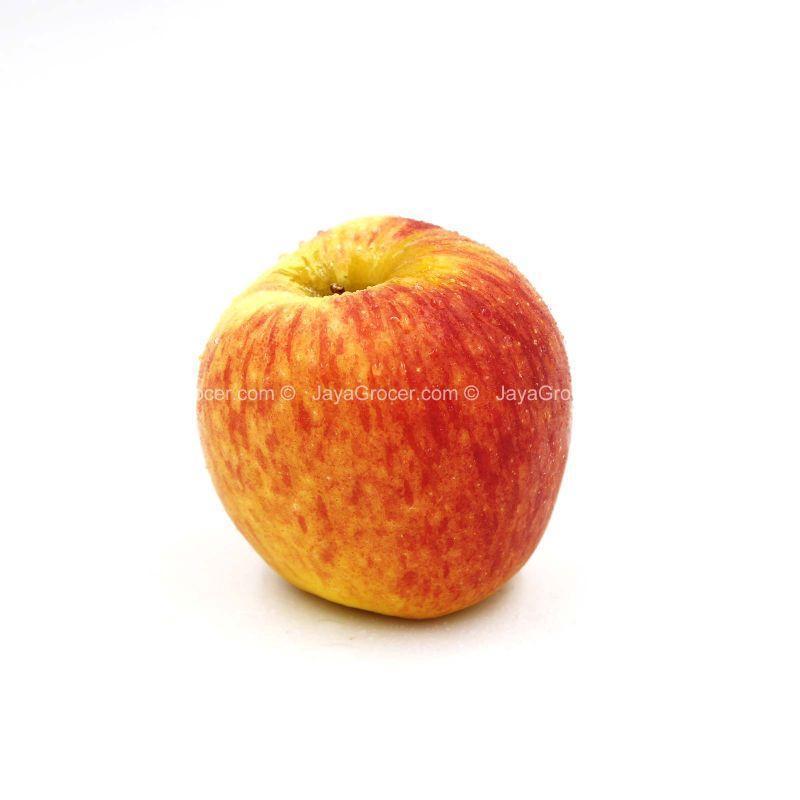 Ambrosia Apple (NZL) C90 1pc