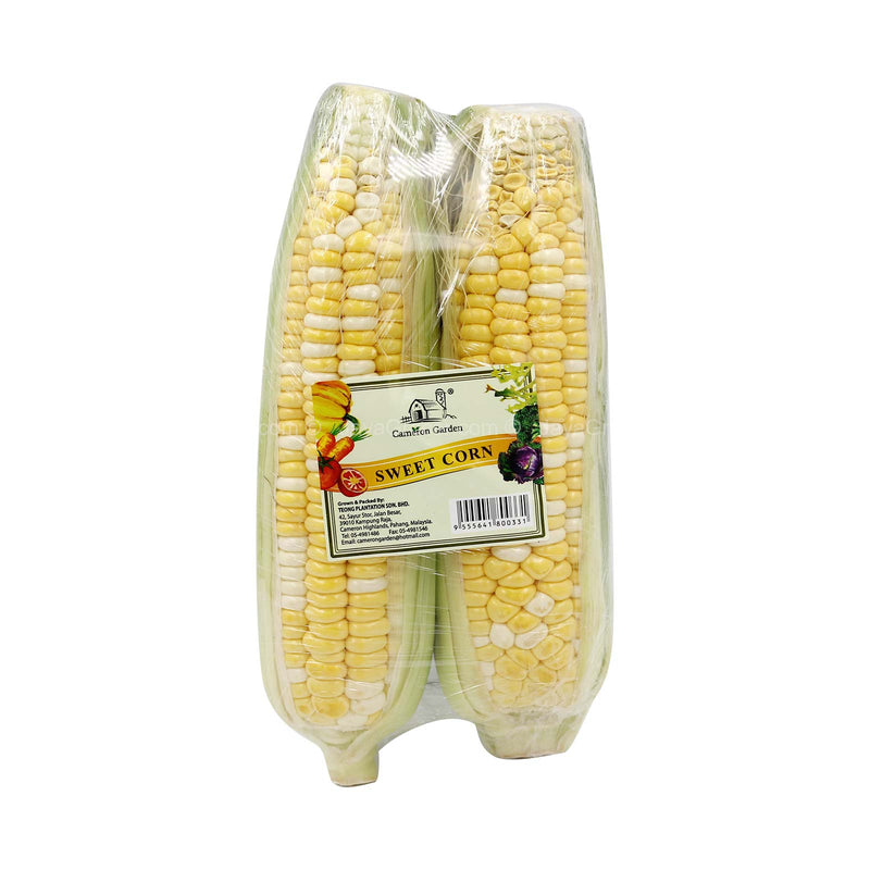 SWEET CORN-CAMERON BIO COLOR 2S (MYS)